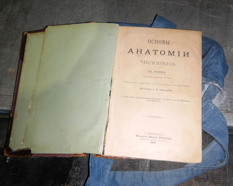 На крымской границе задержали украинку с антикварной книгой по анатомии. Фото: пресс-служба Крымской таможни