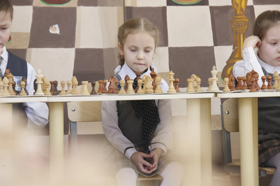 Удмуртия вошла в тройку регионов для проведения шахматного исследования