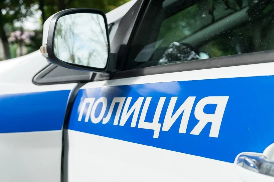 Нетрезвый водитель устроил дебош во время составления протокола