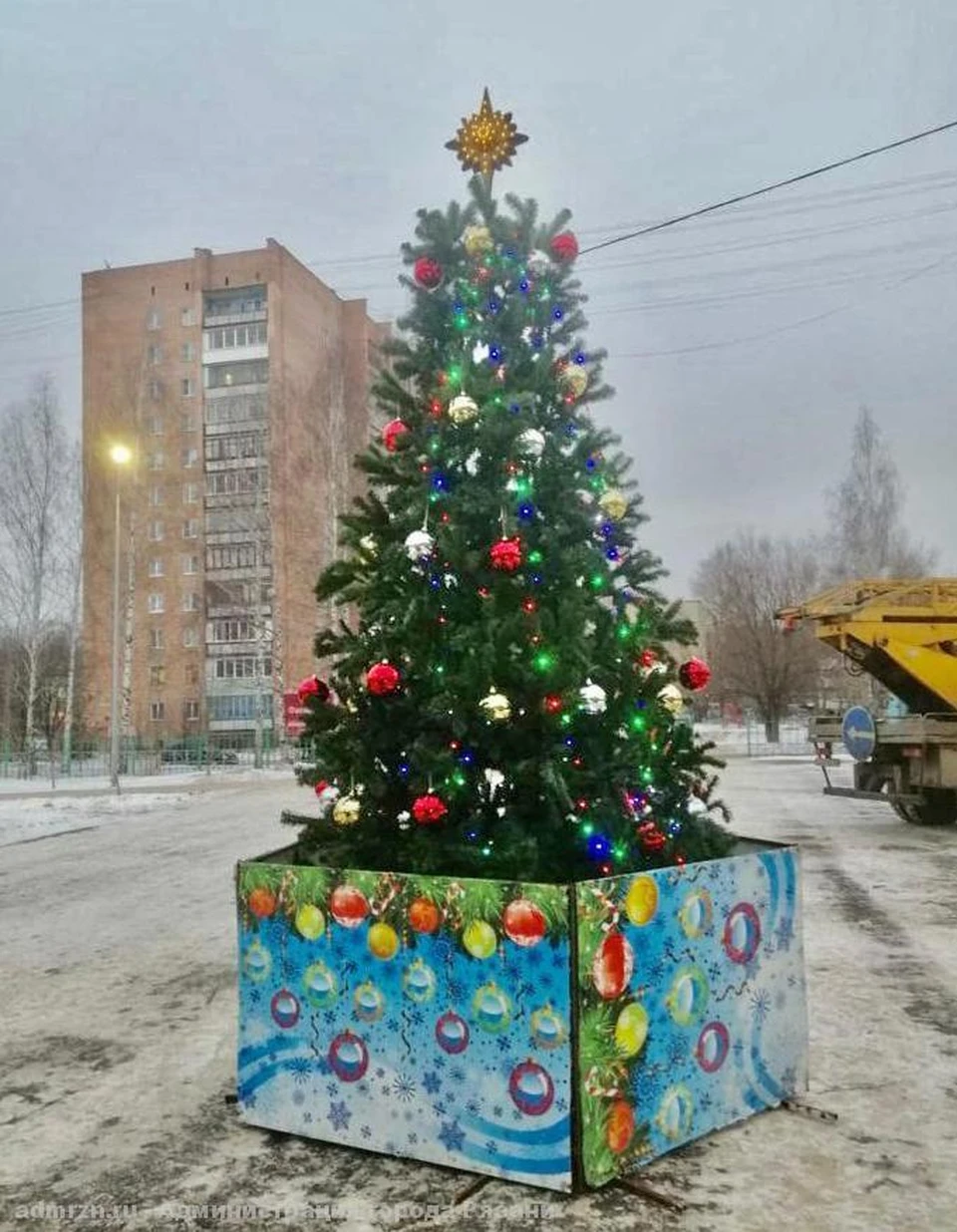 В парке Комсомольский появилась пятиметровая ель.