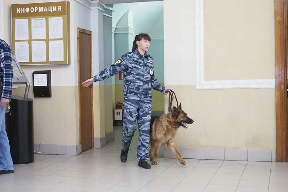 Житель Тульской области сядет за грабеж