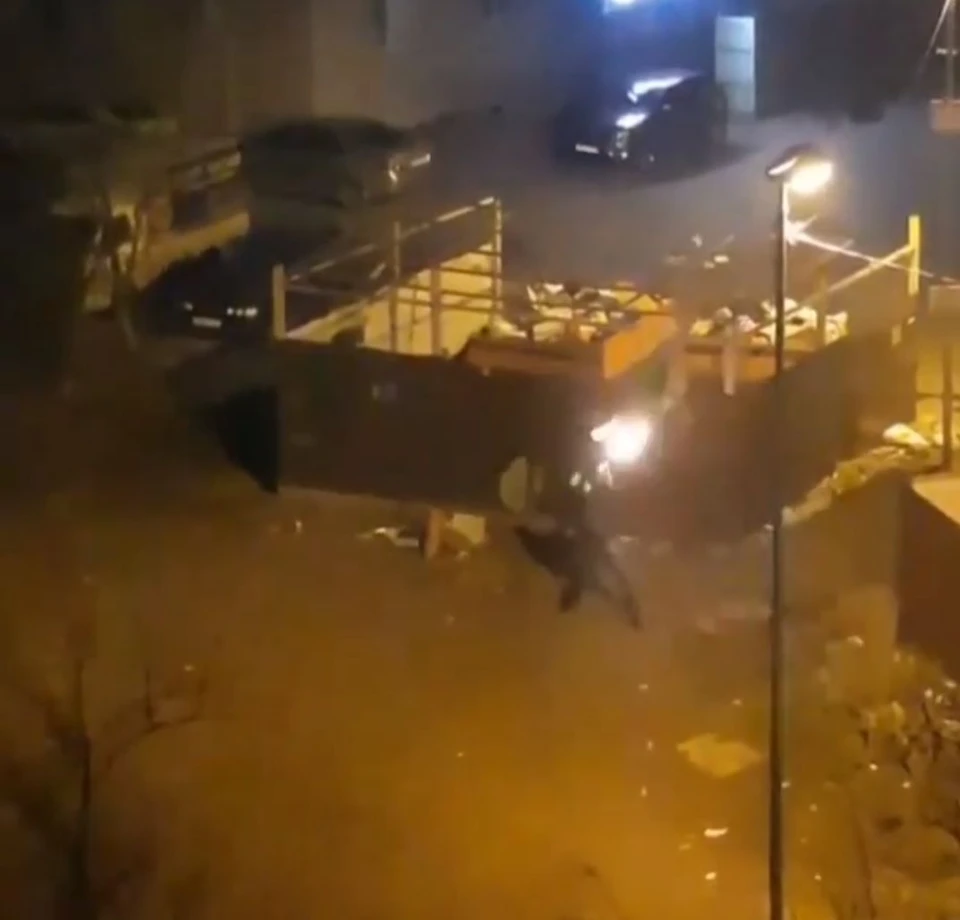 Фото: скриншот видео из соцсети