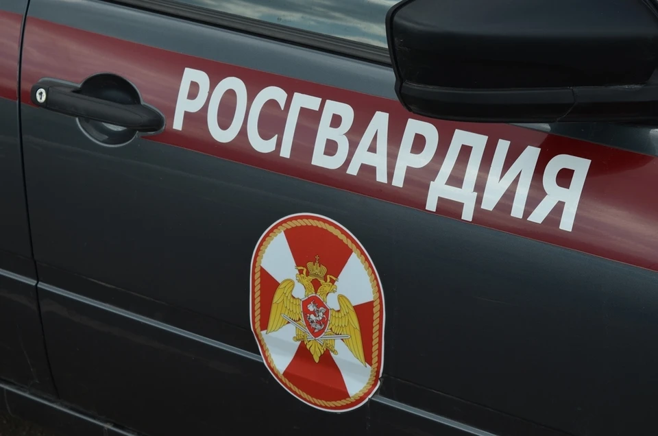 В Орле силовики поймали уголовника в розыске