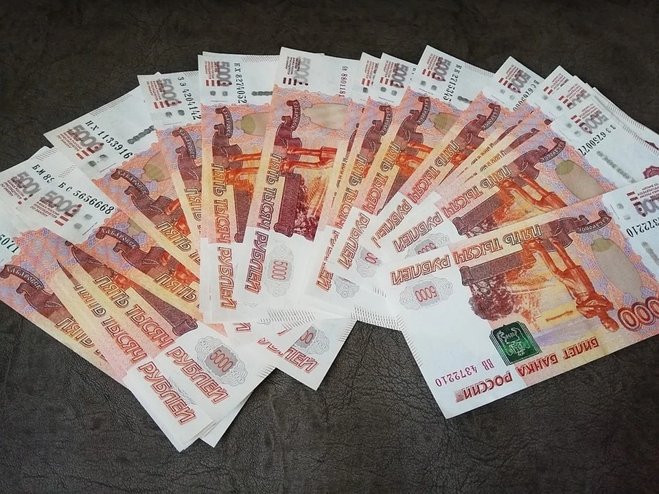 Полицейские вернули цветоводу потерянные 350 тысяч рублей. Фото: Архив КП