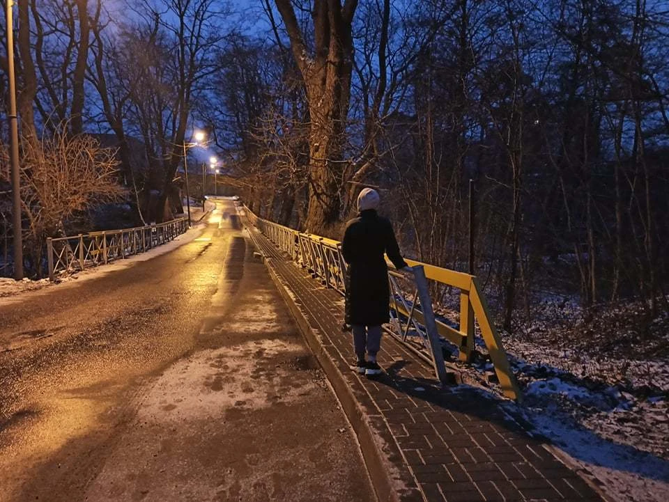 Двойной забор на Бассейной