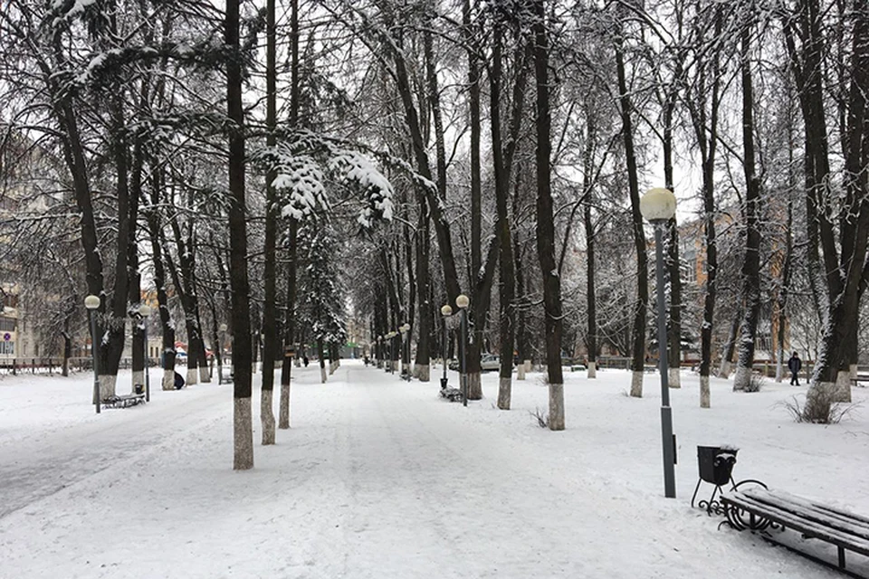 Фото: пресс-служба Брянской городской администрации.