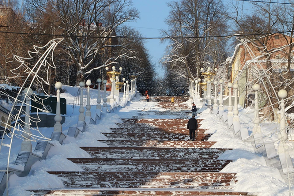 Фото: пресс-служба Брянской городской администрации.