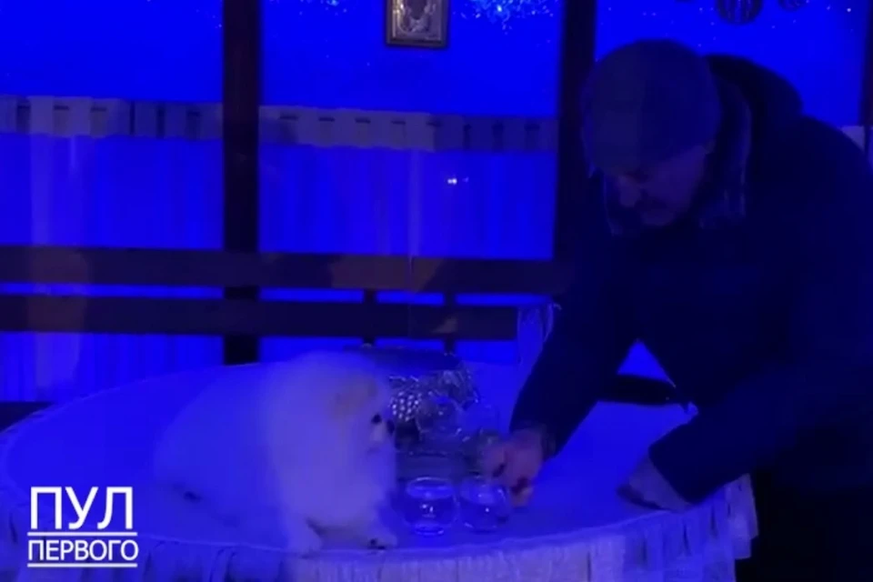 На Крещение Лукашенко колет дрова, топит баню и пьют ледяную воду. Фото: стоп-кадр | видео "Пул Первого".