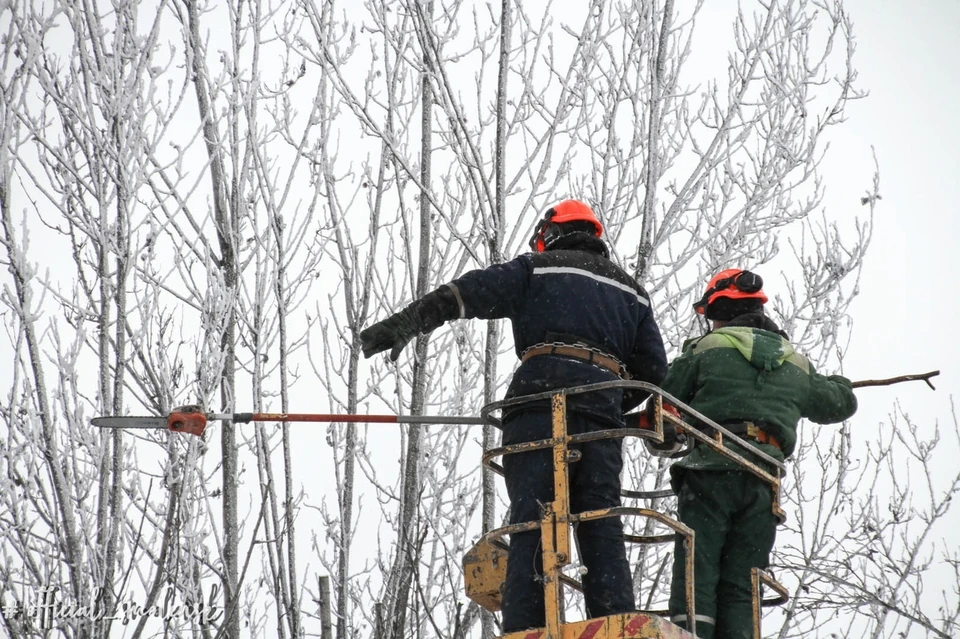 На улице Кутузова в Смоленске обрезают деревья. Фото: администрация г. Смоленска.
