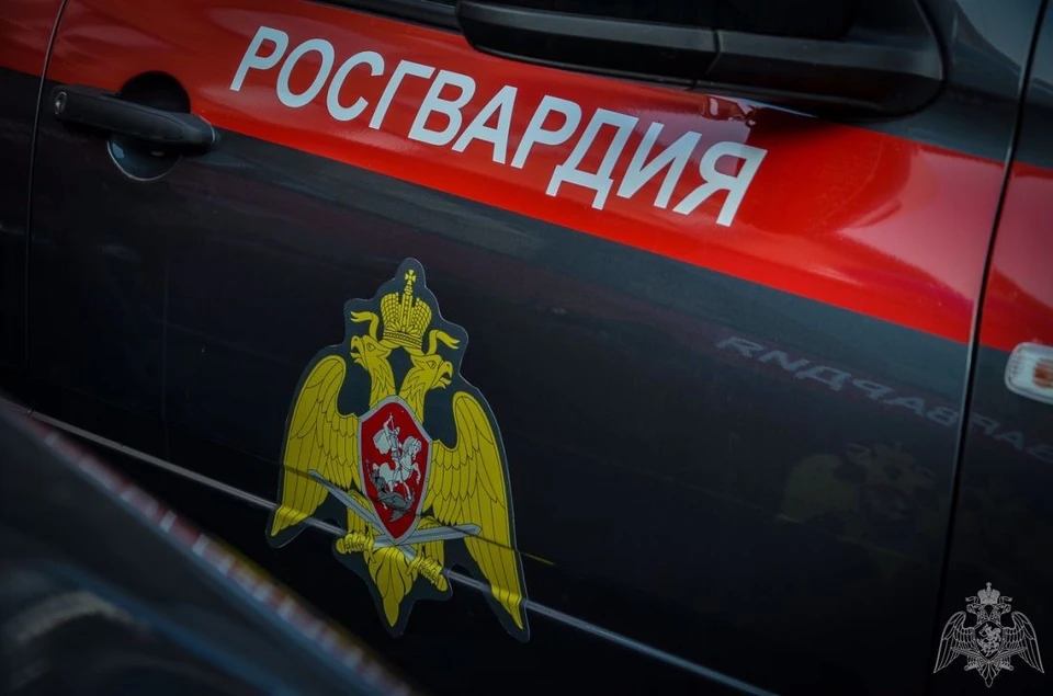 проводится разбирательство