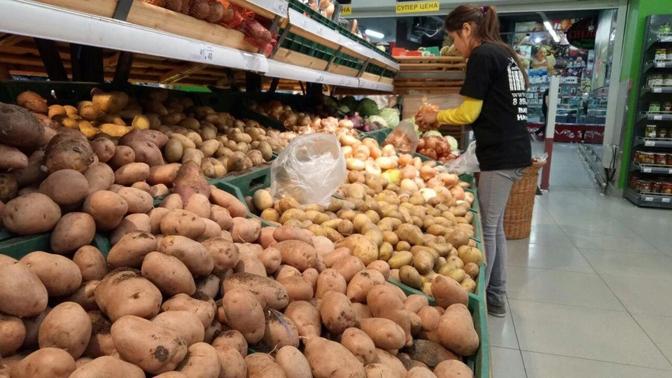 Эксперт прокомментировал идею продавать в России картофель "экономкласса"