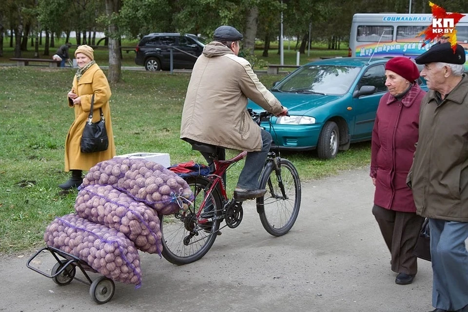 В россии предложили продавать картофель "эконом класса"