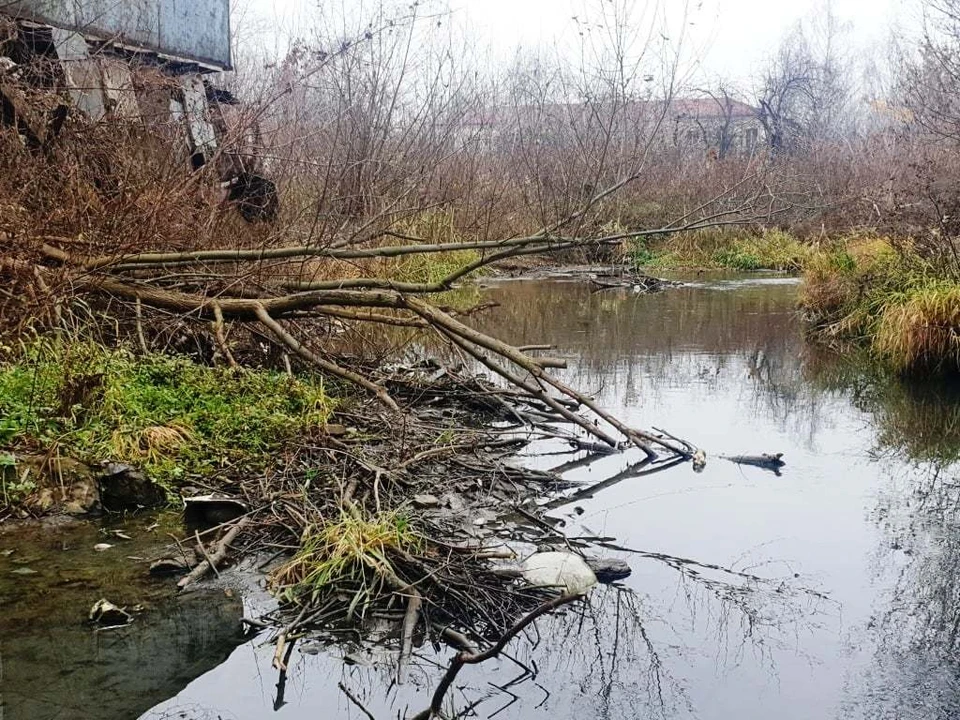 Тулячка бьет тревогу по поводу засорения протекающей по городу реки Воронки