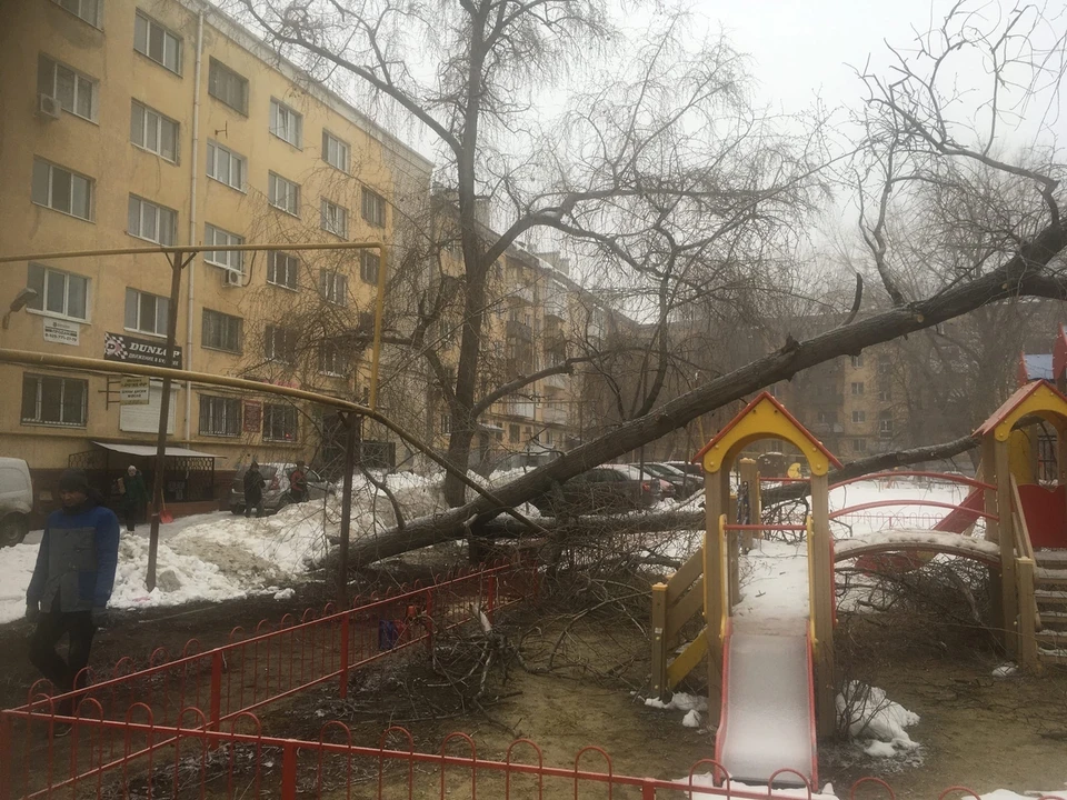 Дерево упало на детскую площадку. Фото соцсетей