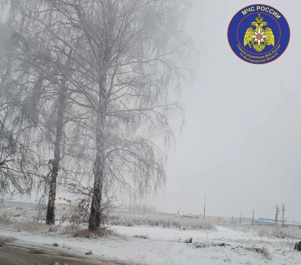Фото пресс-службы ГУ МЧС России по Белгородской области.