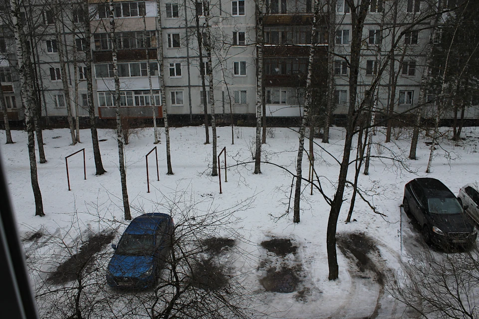 В конце недели в Тверской области местами пройдут осадки, и будет легкий мороз.