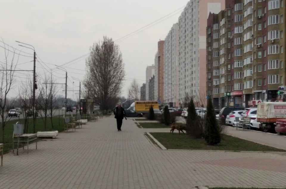 Дизайн-код внедрят в Северном микрорайоне