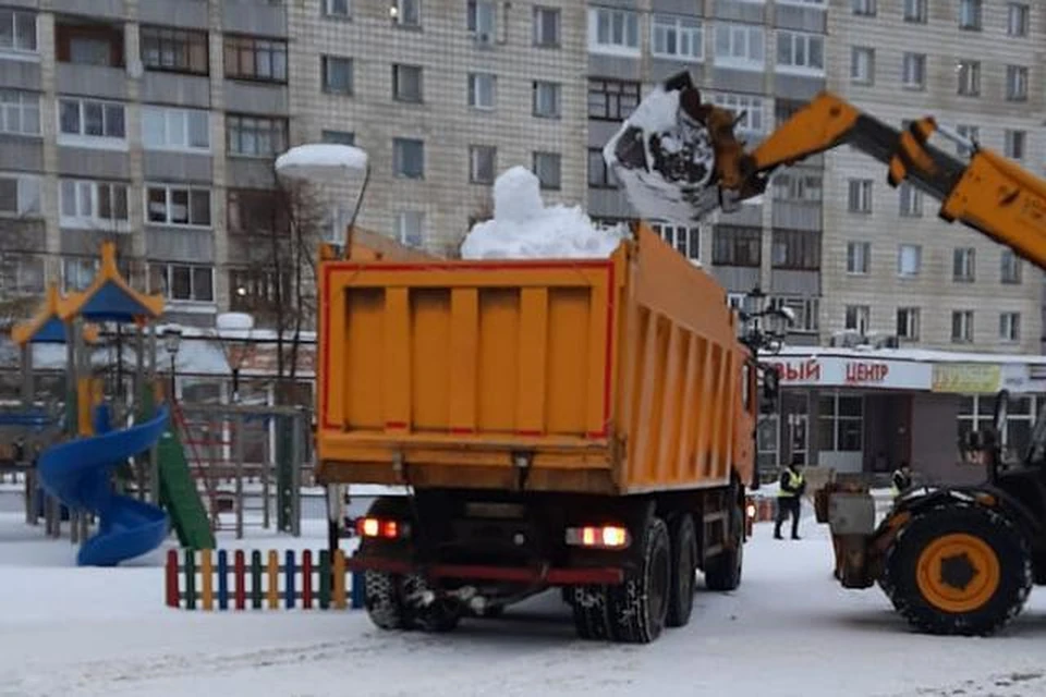 Фото: Управление информации и социальных коммуникаций АМО ГО «Сыктывкар»