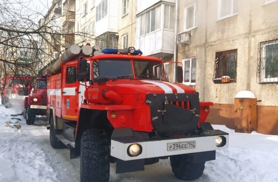 Спасатель отдал свою кислородную маску кошке на пожаре в Кемерове. ФОТО: ГУ МЧС России по Кемеровской области