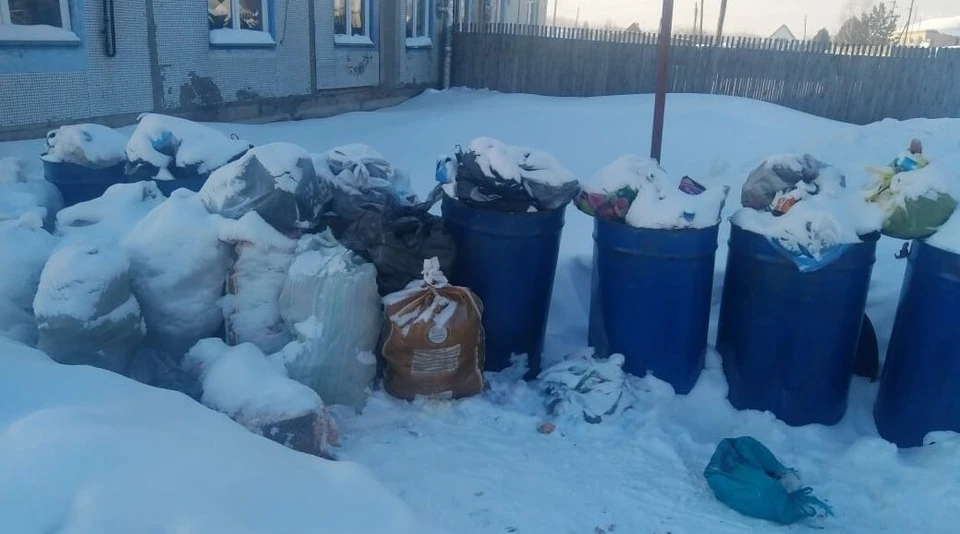 Жители села Репьево в Новосибирской области жалуются на переполненные мусорные баки. Фото: ЧС-ИНФО