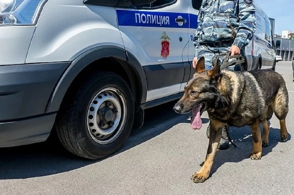 Взрывчатки в университете не обнаружили.