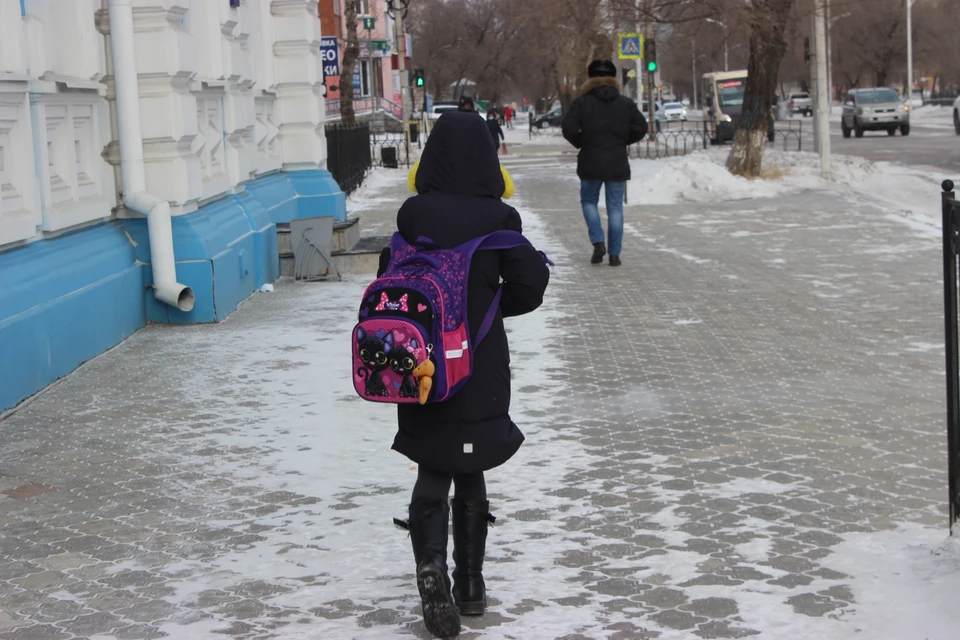 Некоторые школьники Благовещенска приступили к занятиям по расписанию