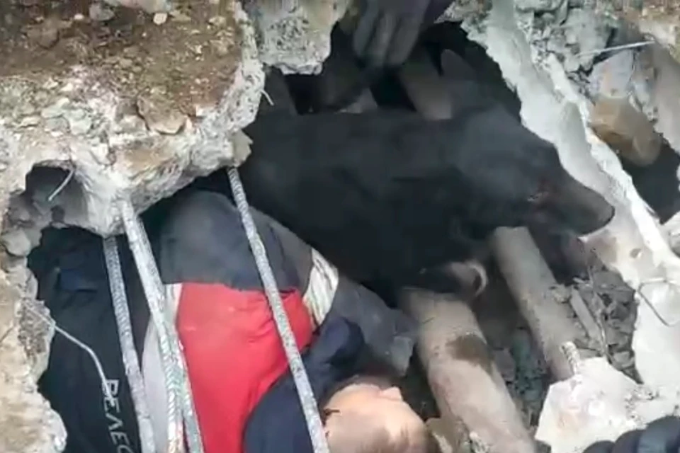 Один из рабочих держал пса, пока другие раздвигали трубы. Фото: пресс-служба МУПВ ВПЭС