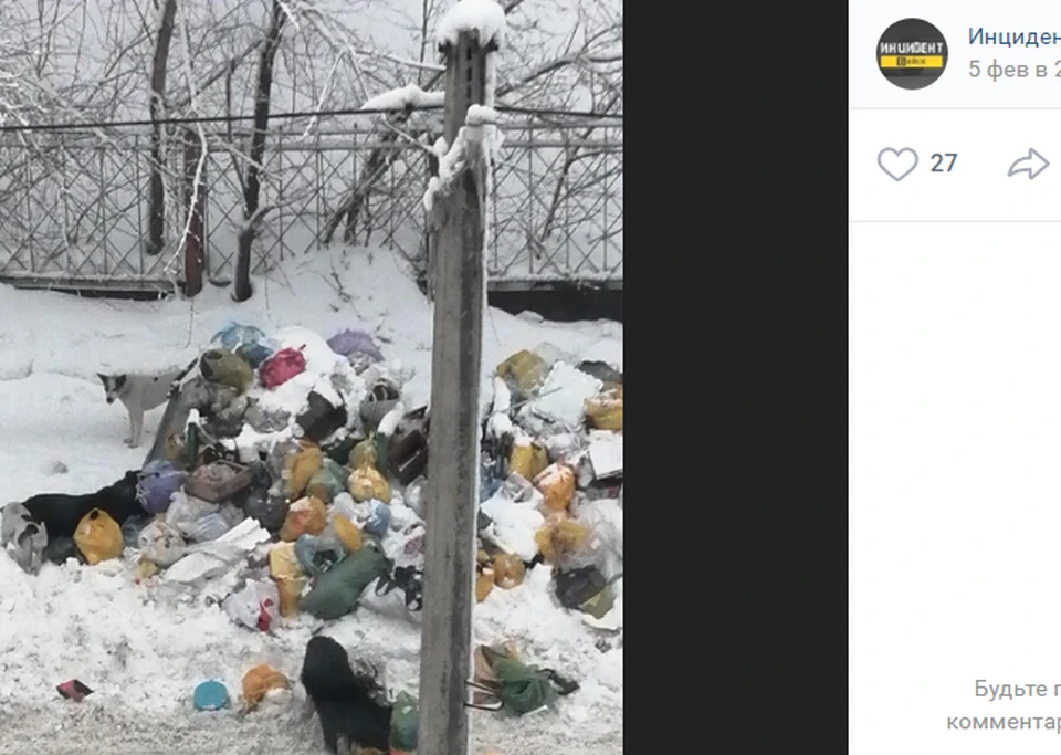 Фото: Инцидент Бийск