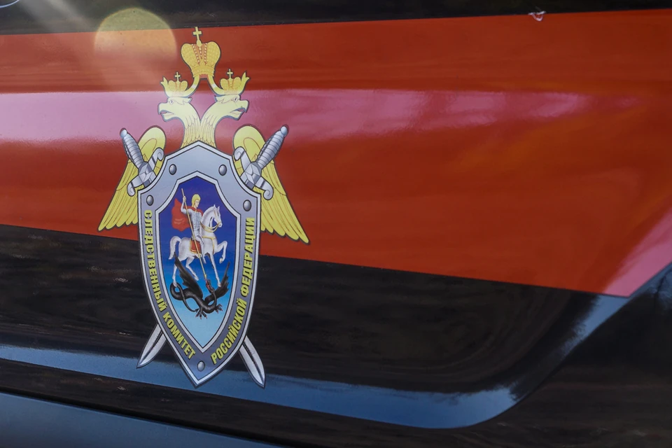 Правоохранители проводят проверку по факту случившегося
