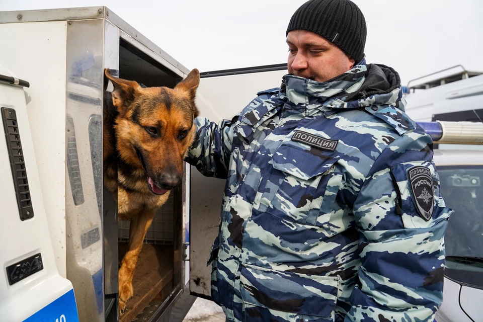 К обследованию школ привлекали кинологов с собаками