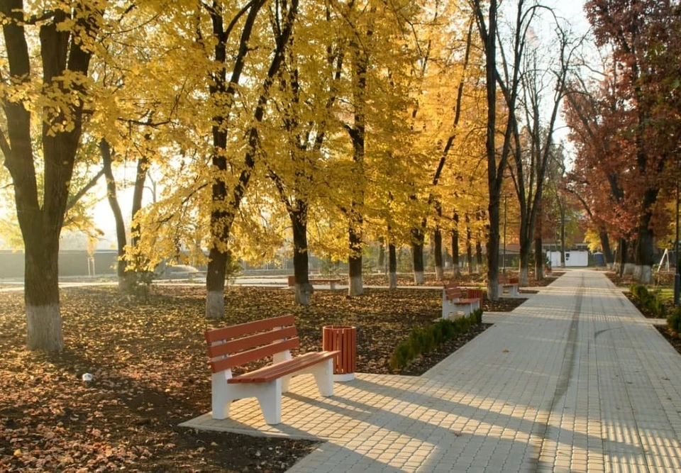 Фото: krd.ru