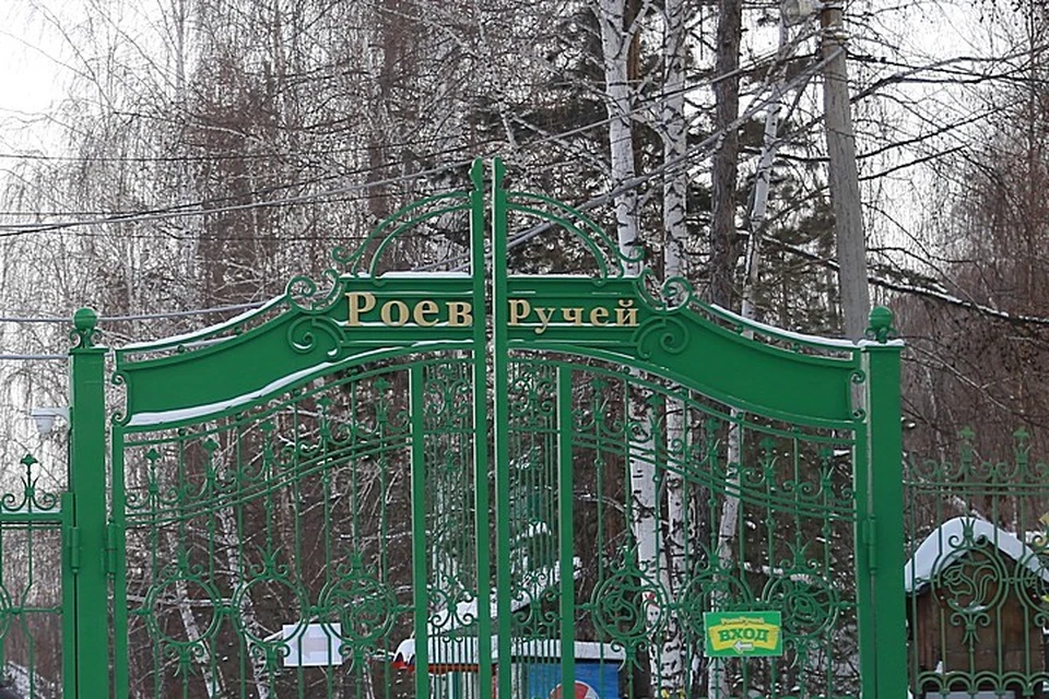 Проект на века: «Роев ручей»