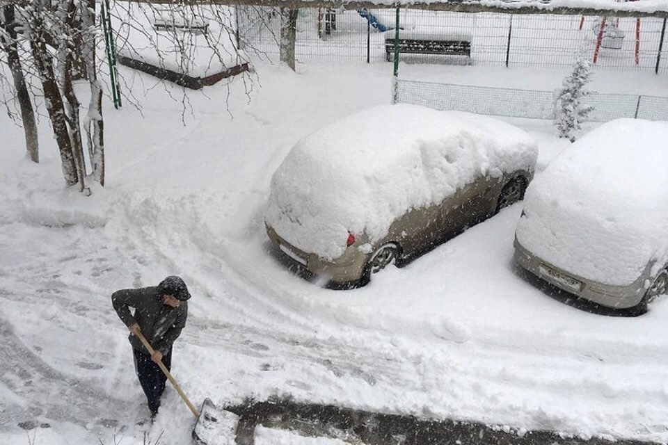 Симферопольцы забыли, как это - автомобиль в снегу. Фото: facebook/Рустам Корсовецкий