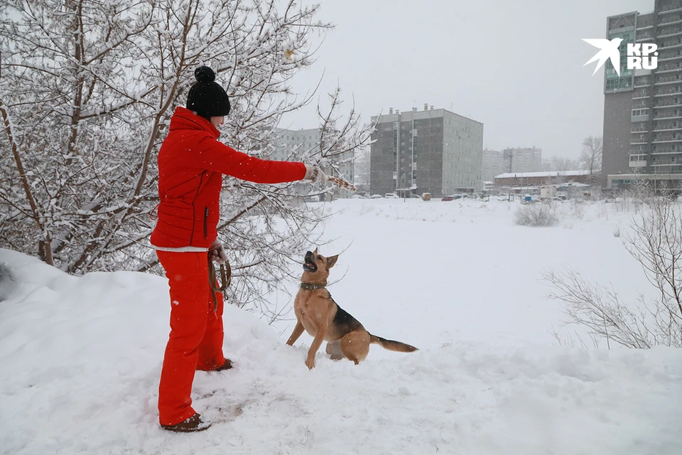 Погода на 17 апреля красноярск