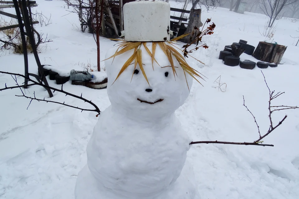 Зима не собирается уходить из Липецка
