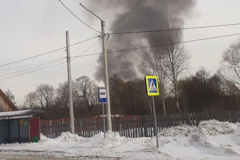 Большое полпино брянская область карта