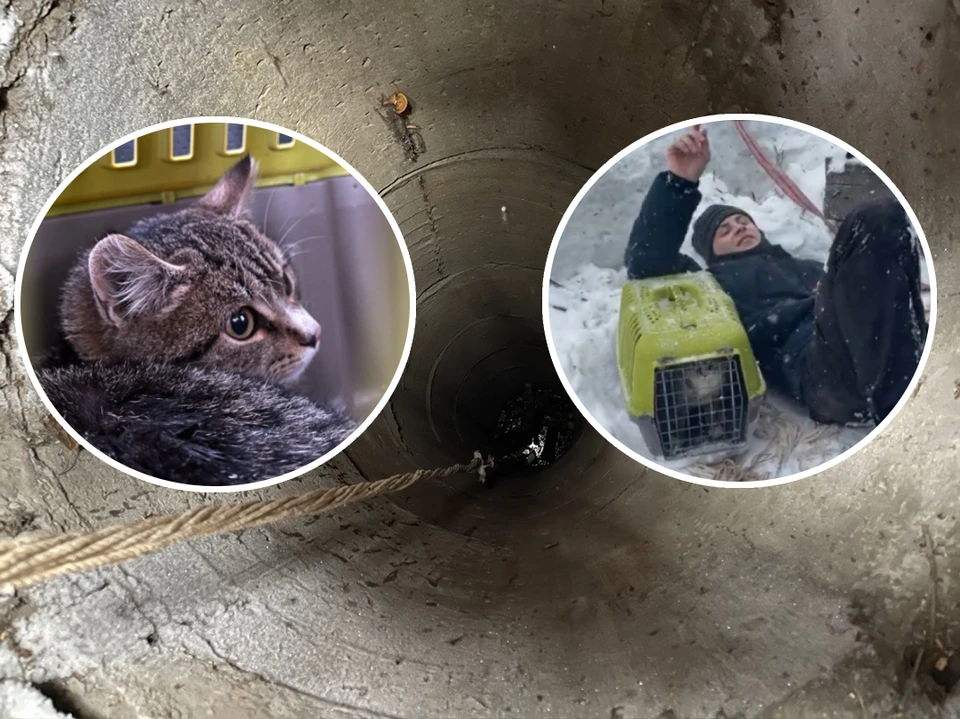 Диггер вытащил котенка из глубокого колодца. Фото: Евгений Кочкин / стоп-кадр из видео.