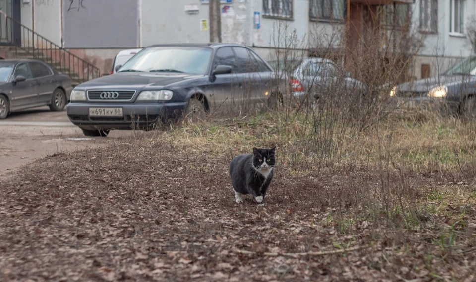 Фото: архив "КП"