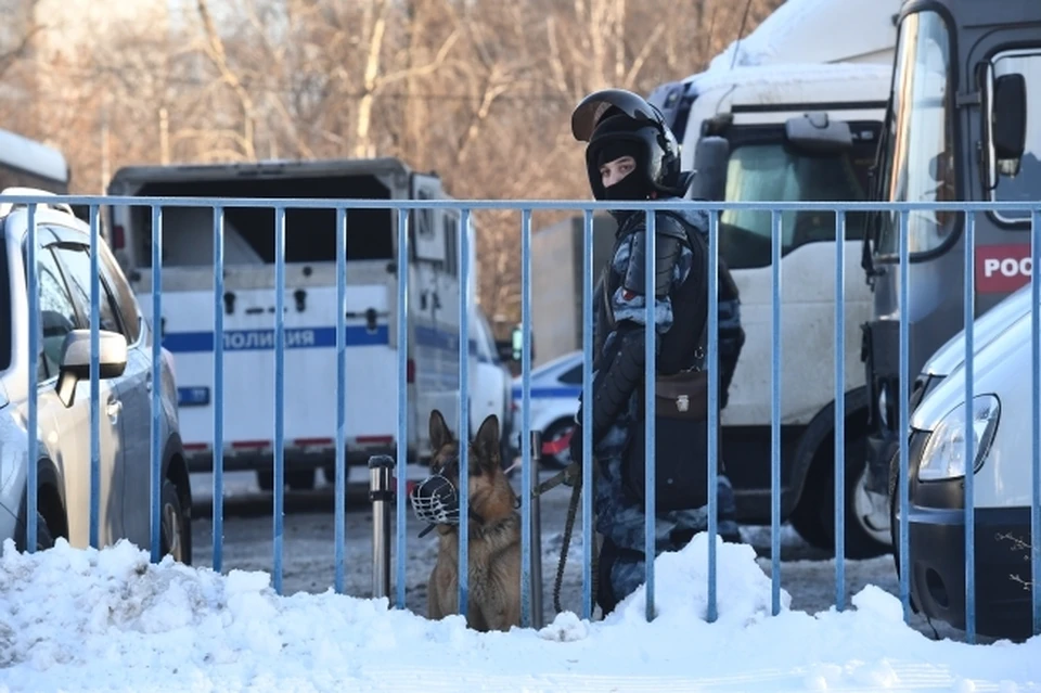 Даже на заведомо ложные звонки об акте терроризма реагируют сразу и следователи, и полиция, и кинологи