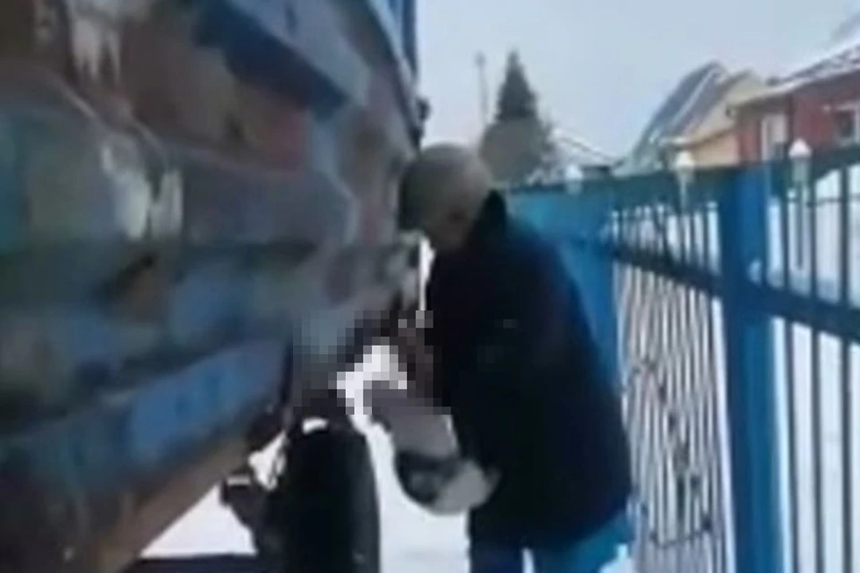 Подростки сняли на видео, как пенсионерка душит кота. Фото: стоп-кадр/«Инцидент Новосибирск»