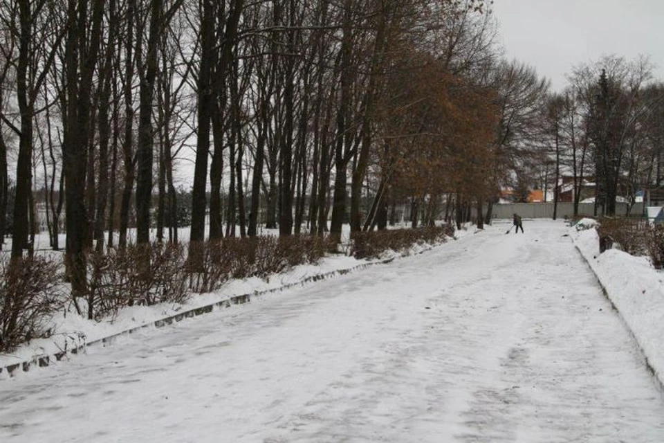 В Рыбинске займутся благоустройством Волжского парка