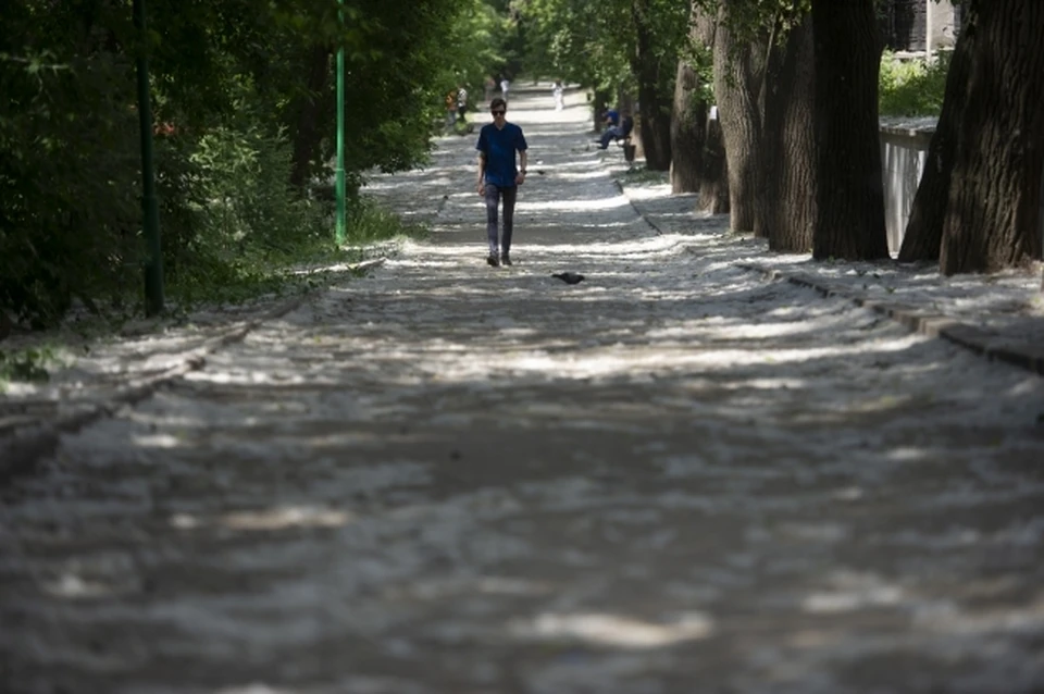 Фото: архив КП