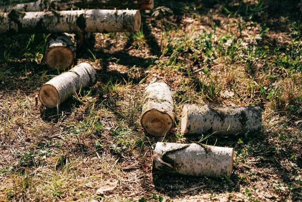 Фото: pexels.com