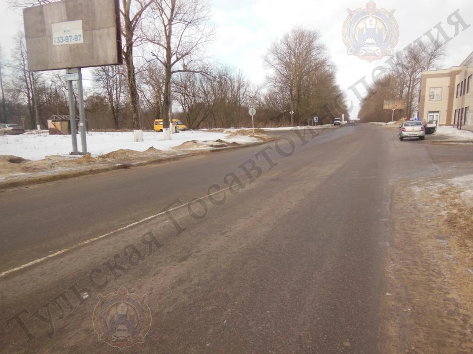 Автоледи в Тульской области сбила пенсионерку