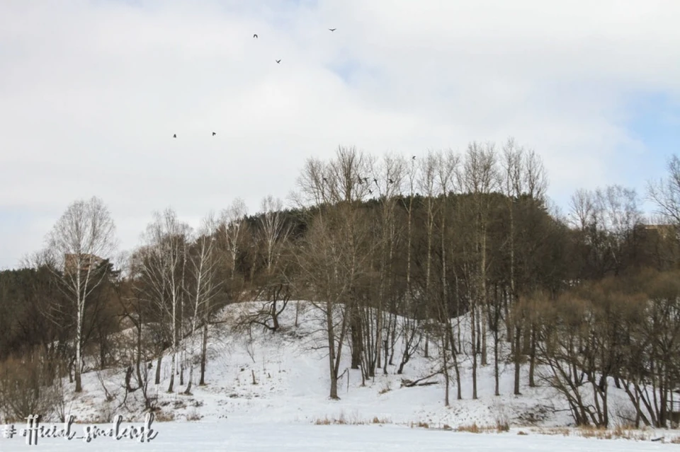 Фото: Smoladmin.ru.