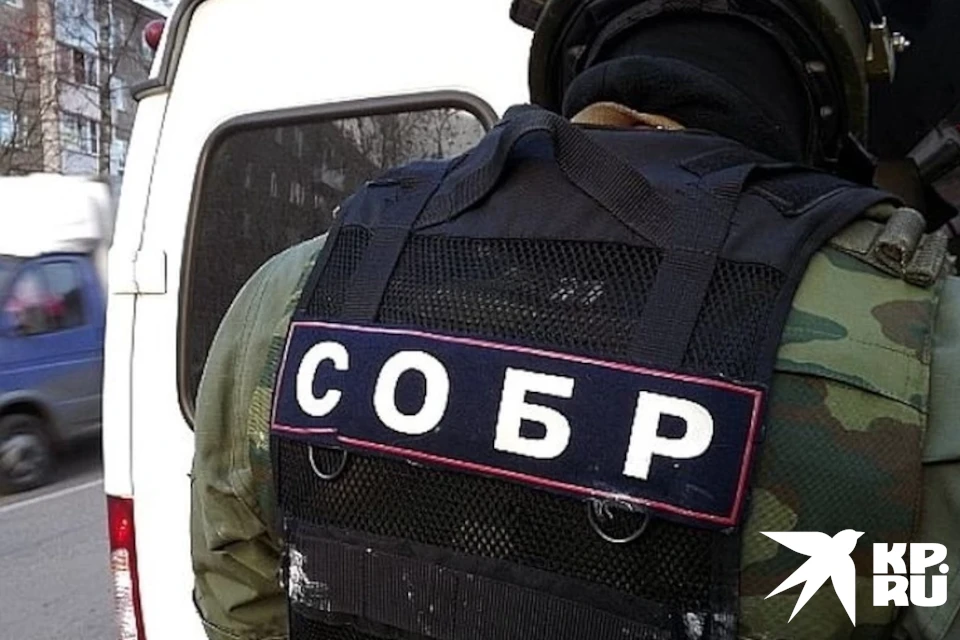 В Тверской области прошли снайперские соревнования под эгидой Росгвардии.