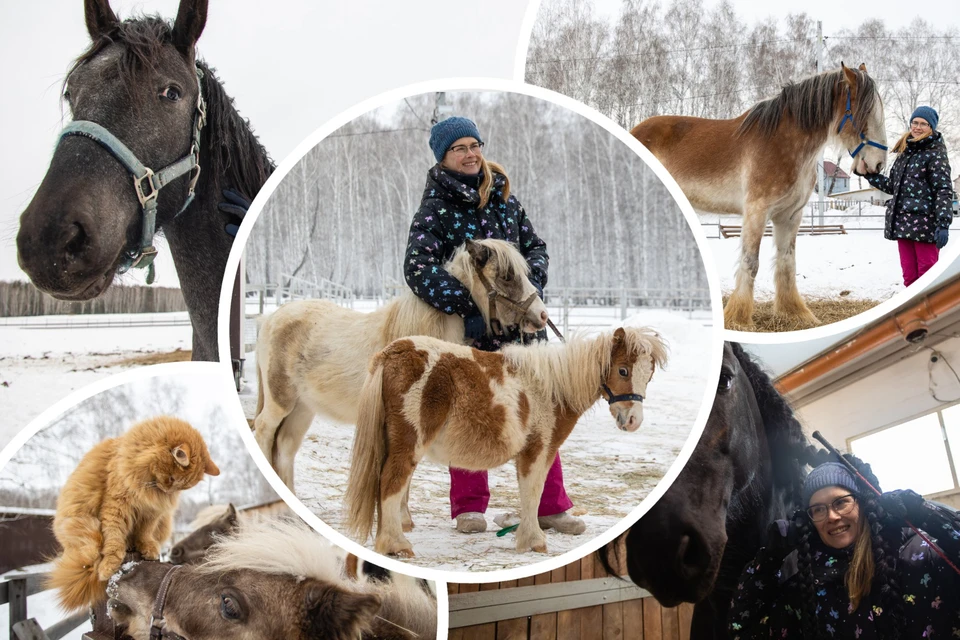 Татьяна Мустякимова разводит лошадей больше 10 лет.
