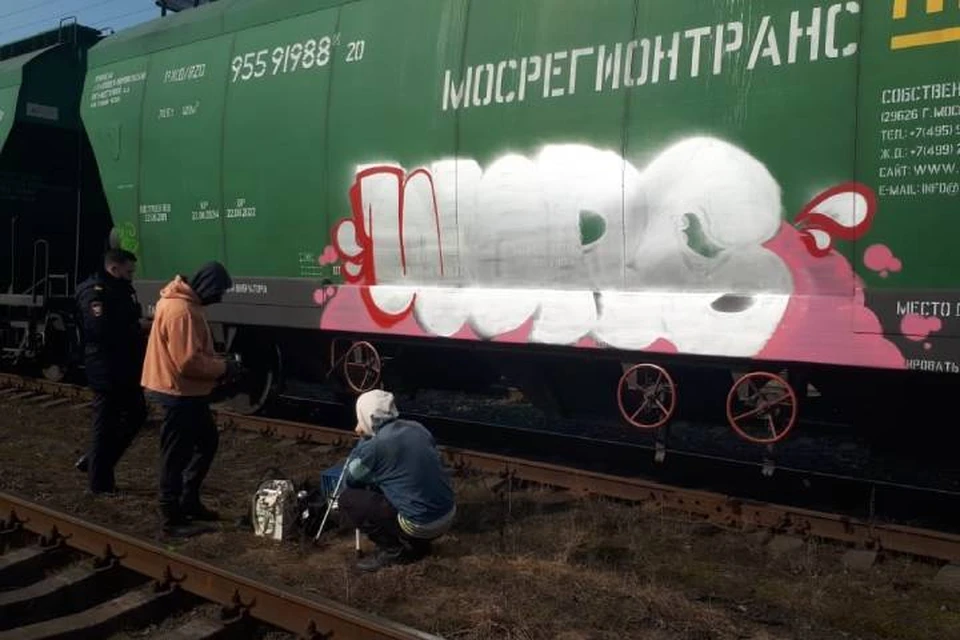 Молодому граффитисту грозит тюрьма за разрисованные вагоны в Петербурге / Фото: УТ МВД по СЗФО