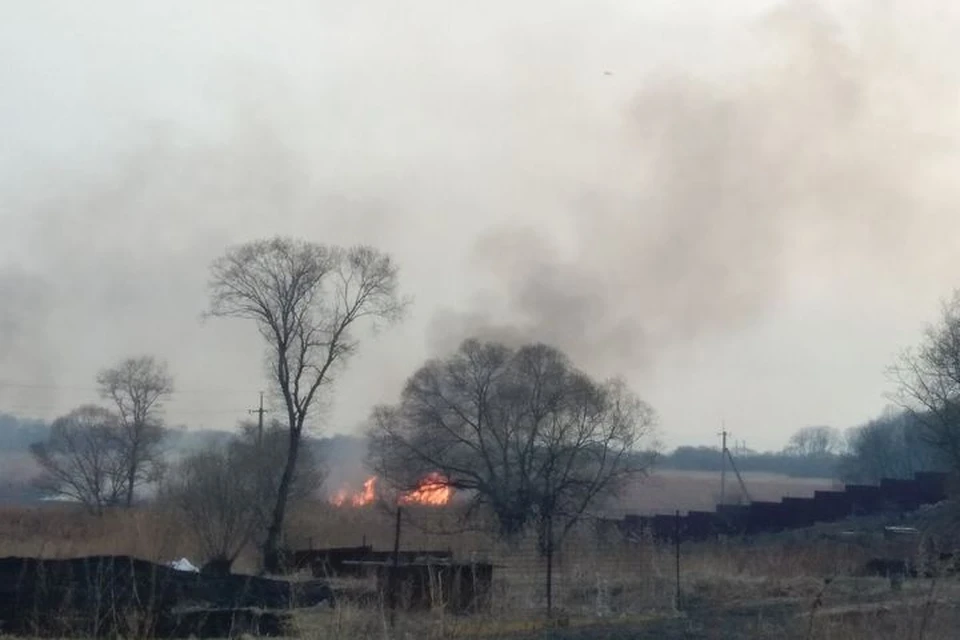 В Приморье из-за пала травы могут загореться дома