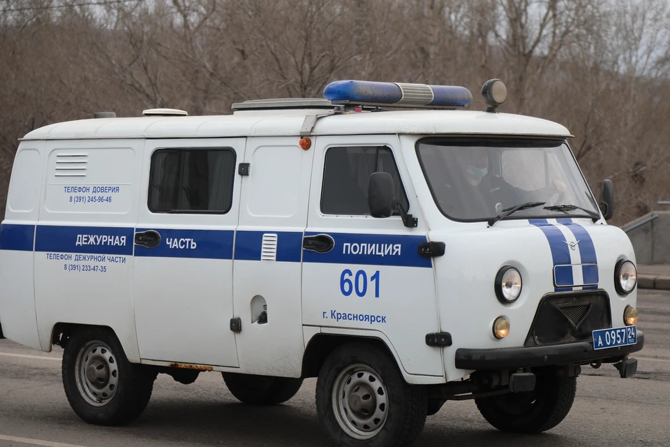 Женщине грозит до 5 лет лишения свободы